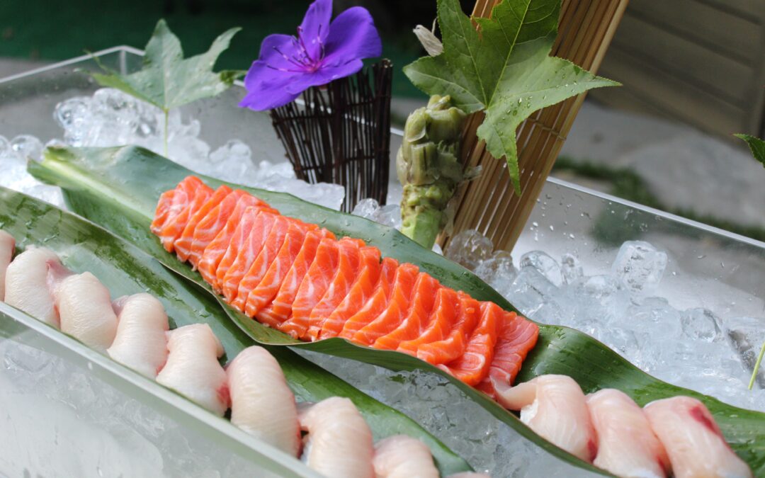 Ocean Trout